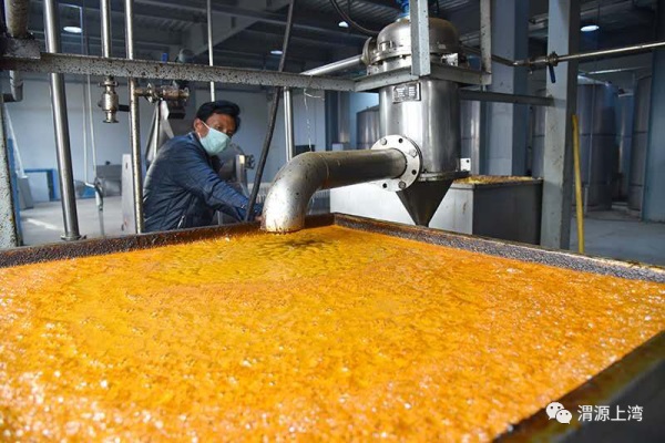 上灣鎮(zhèn)隴源紅沙棘加工廠.jpg