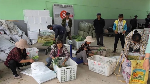漳縣江魚蔬菜產(chǎn)銷農(nóng)民專業(yè)合作社.jpg