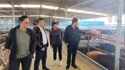 民盟省委會(huì)開展“科技興農(nóng)、法律公益”幫扶活動(dòng)251.png