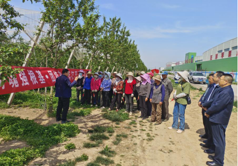 慶陽(yáng)市黨外知識(shí)分子聯(lián)誼會(huì)農(nóng)業(yè)專家服務(wù)團(tuán)走進(jìn)田間地頭開展農(nóng)業(yè)技能培訓(xùn)188.png