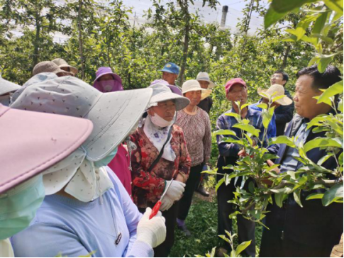 慶陽(yáng)市黨外知識(shí)分子聯(lián)誼會(huì)農(nóng)業(yè)專家服務(wù)團(tuán)走進(jìn)田間地頭開展農(nóng)業(yè)技能培訓(xùn)372.png