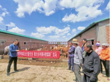 慶陽(yáng)市黨外知識(shí)分子聯(lián)誼會(huì)農(nóng)業(yè)專家服務(wù)團(tuán)走進(jìn)田間地頭開展農(nóng)業(yè)技能培訓(xùn)563.png