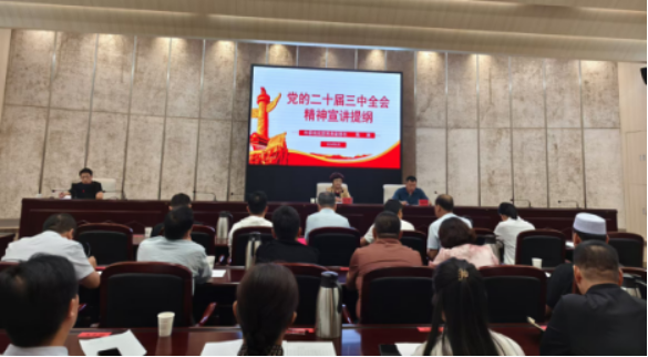 （新聞稿）慶陽市委統(tǒng)戰(zhàn)部舉辦市直統(tǒng)戰(zhàn)系統(tǒng)黨的二十屆三中全會精神集中宣講會96.png