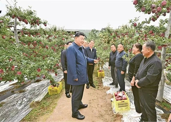 微信圖片_20240918100629.jpg