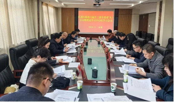 第24期  凝心聚力促發(fā)展 砥礪奮進譜新篇——民進白銀市委會2024年工作綜述734.png