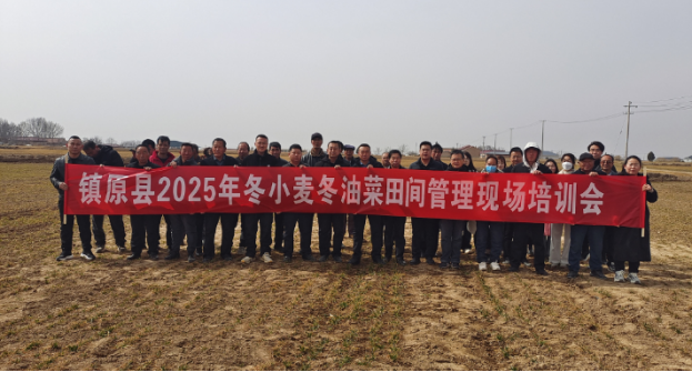 鎮(zhèn)原縣黨外知識分子：同心共筑織密春“技”網(wǎng)129.png