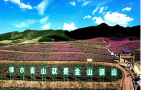 “九進(jìn)”同心綻新程，各美其美創(chuàng)和諧（定）1677.png