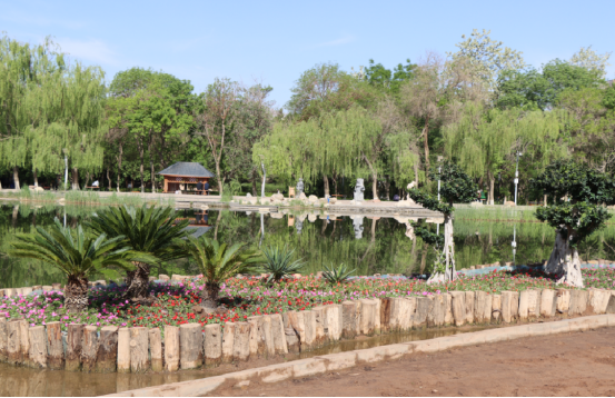 金川區(qū)委統(tǒng)戰(zhàn)部信息第76期（金川區(qū)巧繪50余處微景觀 繪就民族團結(jié)新畫卷）906.png