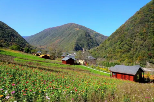 漢藏一家親 共繪“龢合”景——文縣譜寫寨科橋村民族團(tuán)結(jié)實(shí)踐新篇章928.png