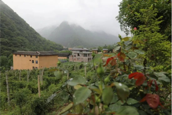 漢藏一家親 共繪“龢合”景——文縣譜寫寨科橋村民族團(tuán)結(jié)實(shí)踐新篇章1181.png